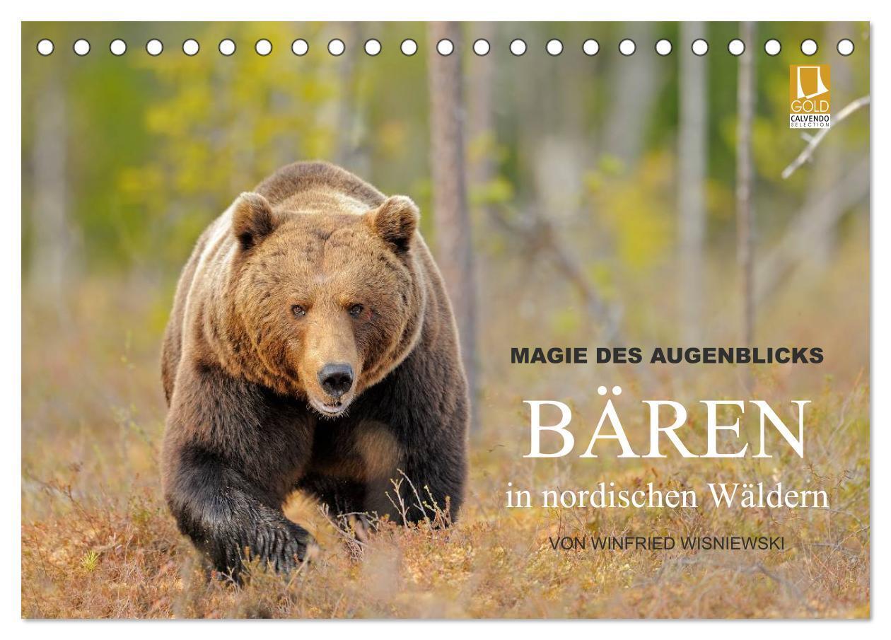 Cover: 9783675703599 | Magie des Augenblicks - Bären in nordischen Wäldern (Tischkalender...