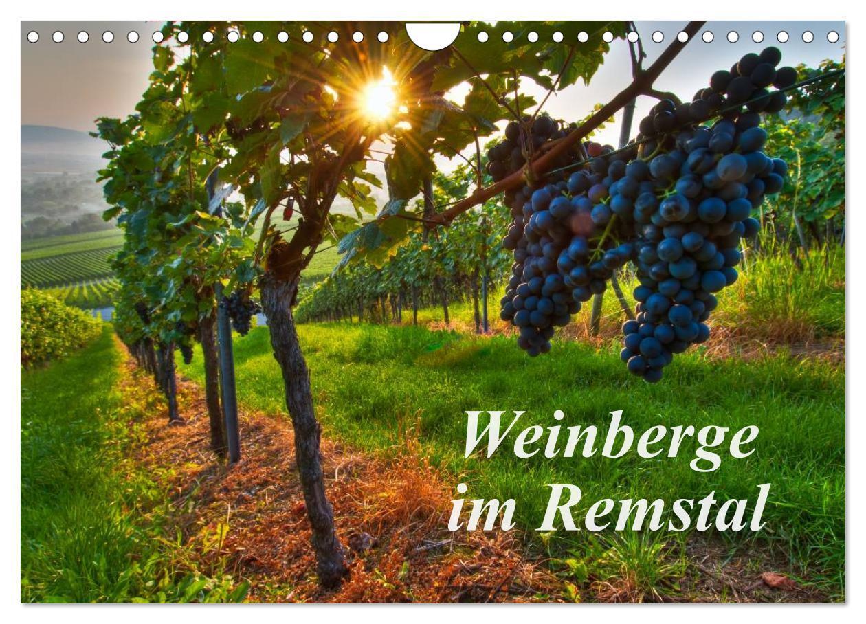 Cover: 9783435718948 | Weinberge im Remstal (Wandkalender 2025 DIN A4 quer), CALVENDO...