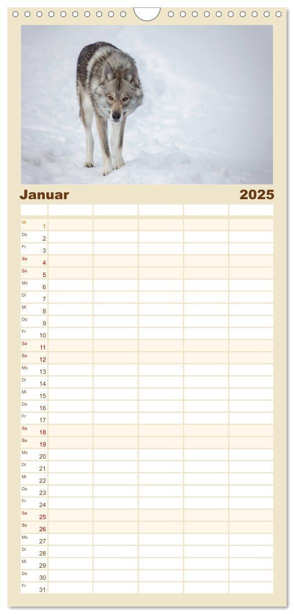 Bild: 9783457117187 | Familienplaner 2025 - Wolfshunde 2025 mit 5 Spalten (Wandkalender,...