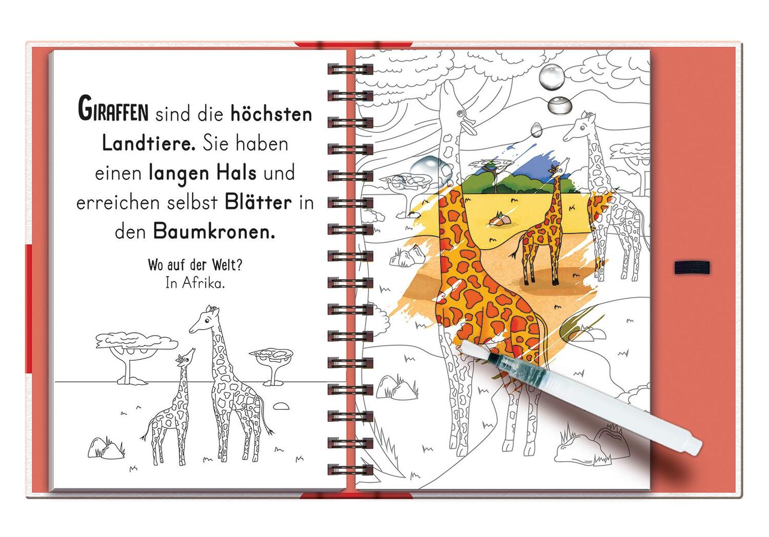 Bild: 9783741525780 | Magic Water Colouring - Tiere | Jenny Copper | Buch | 32 S. | Deutsch