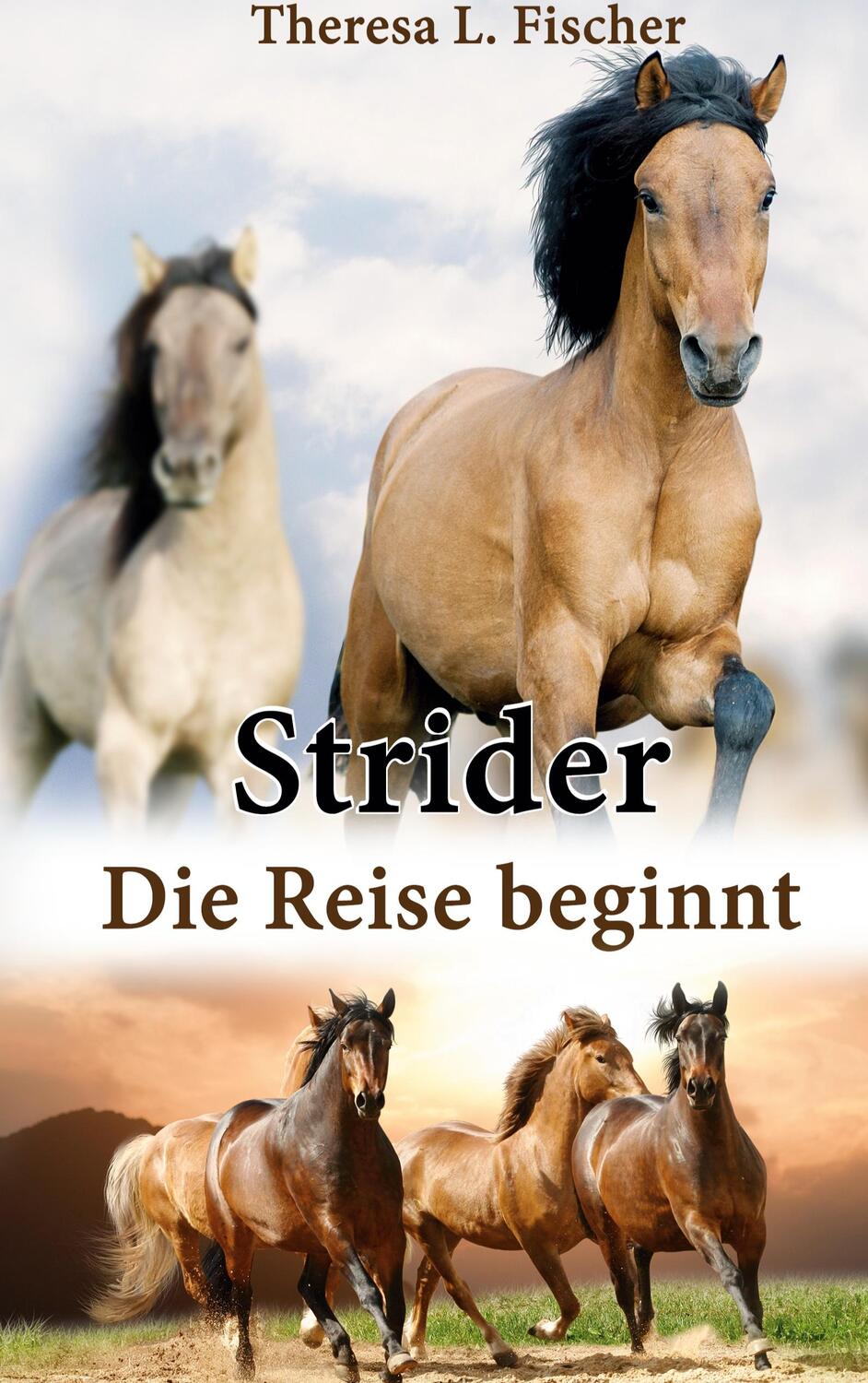Cover: 9783756817672 | Strider | Die Reise beginnt | Theresa L. Fischer | Buch | Strider