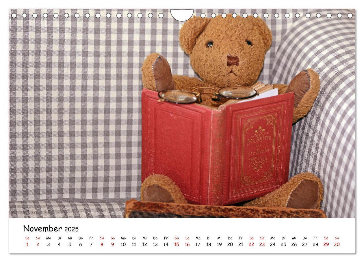 Bild: 9783383964954 | Allerliebste Teddybären (Wandkalender 2025 DIN A4 quer), CALVENDO...