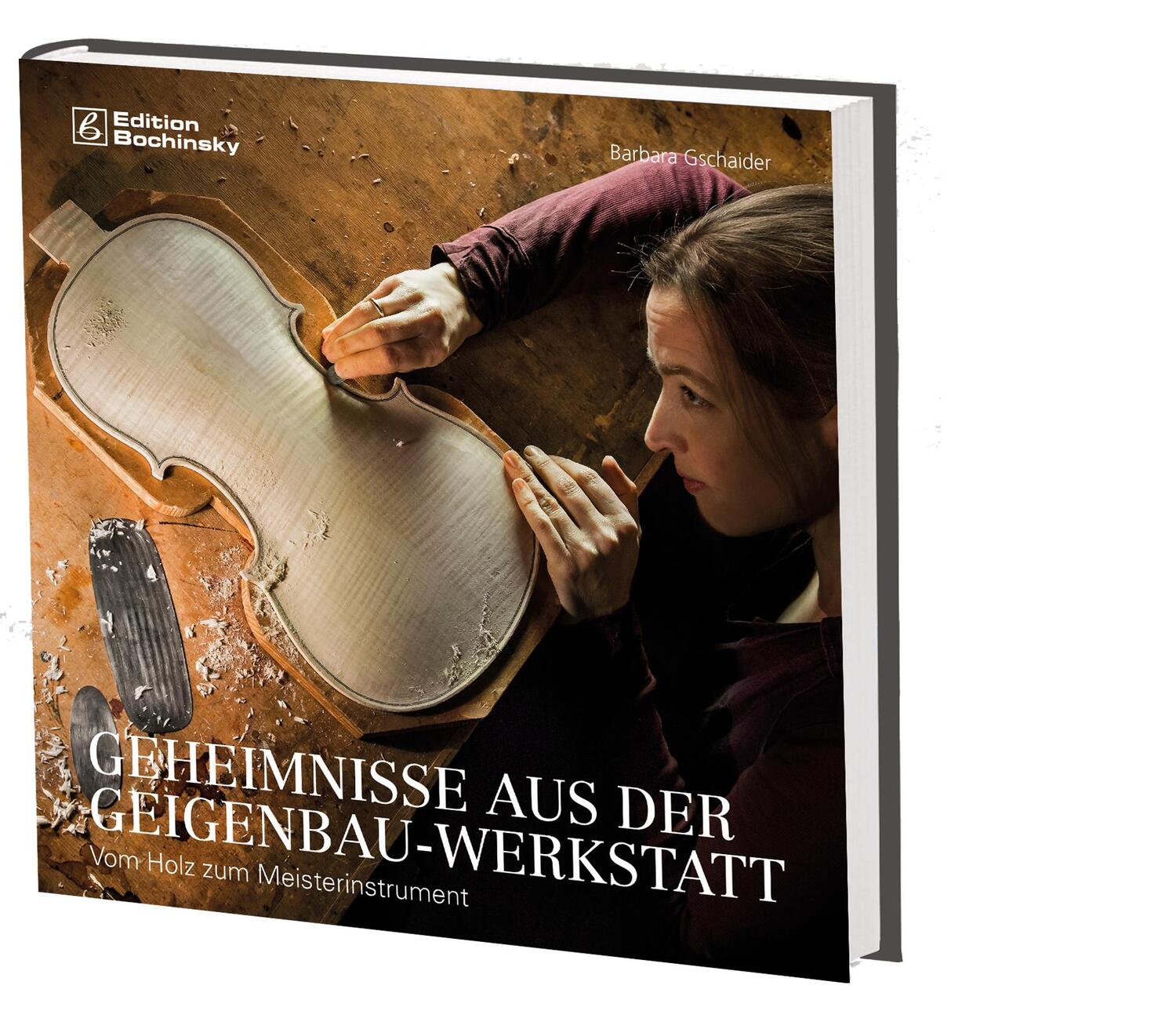 Cover: 9783955121204 | Geheimnisse aus der Geigenbauwerkstatt | Barbara Gschaider (u. a.)