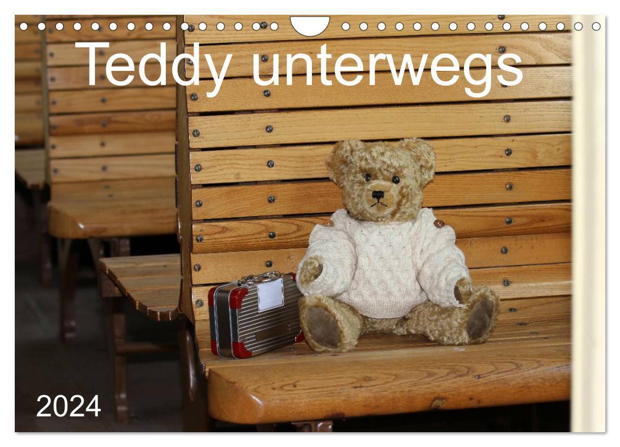 Cover: 9783675894778 | Teddy unterwegs (Wandkalender 2024 DIN A4 quer), CALVENDO...