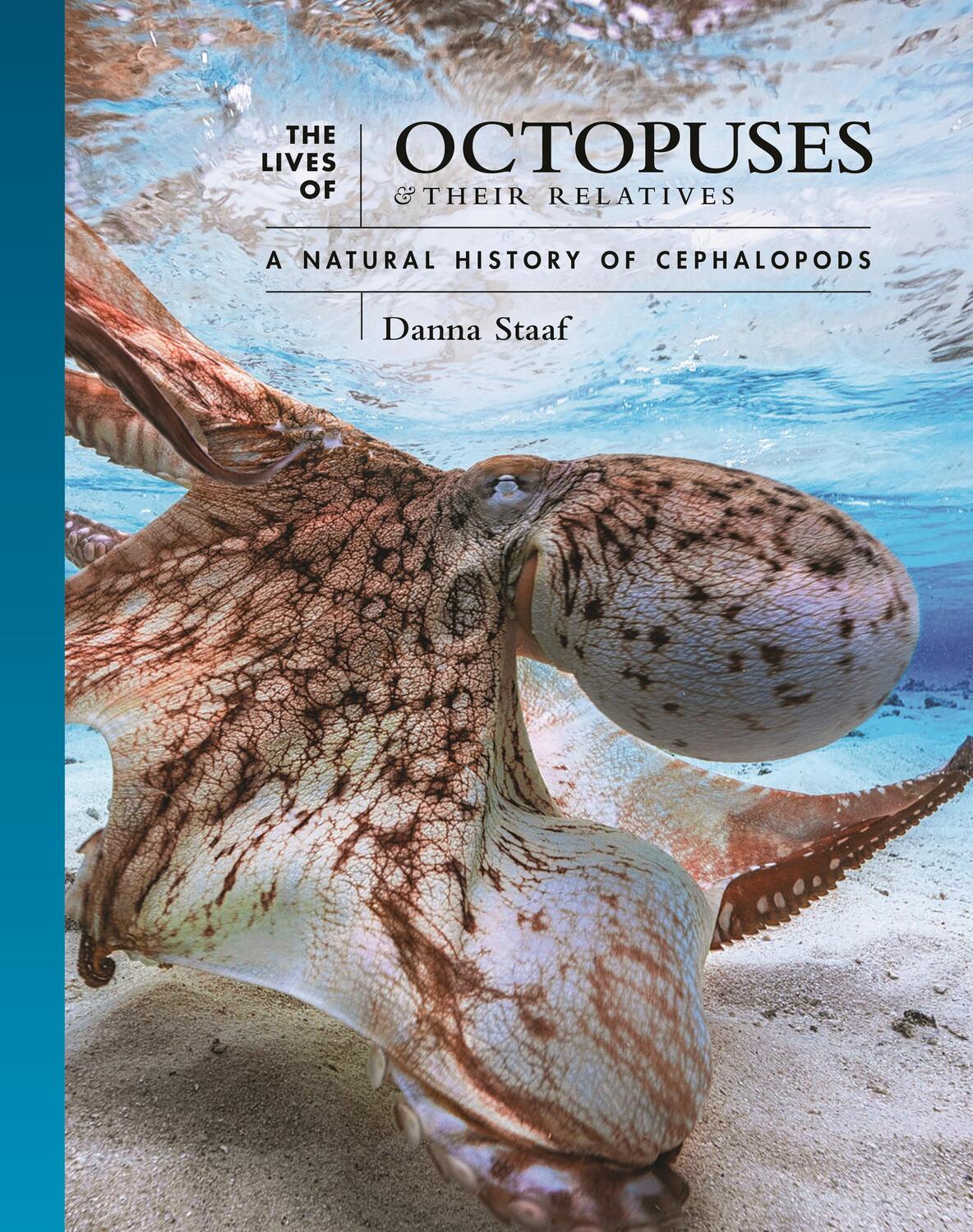 Cover: 9780691244303 | The Lives of Octopuses and Their Relatives | Danna Staaf | Buch | 2023