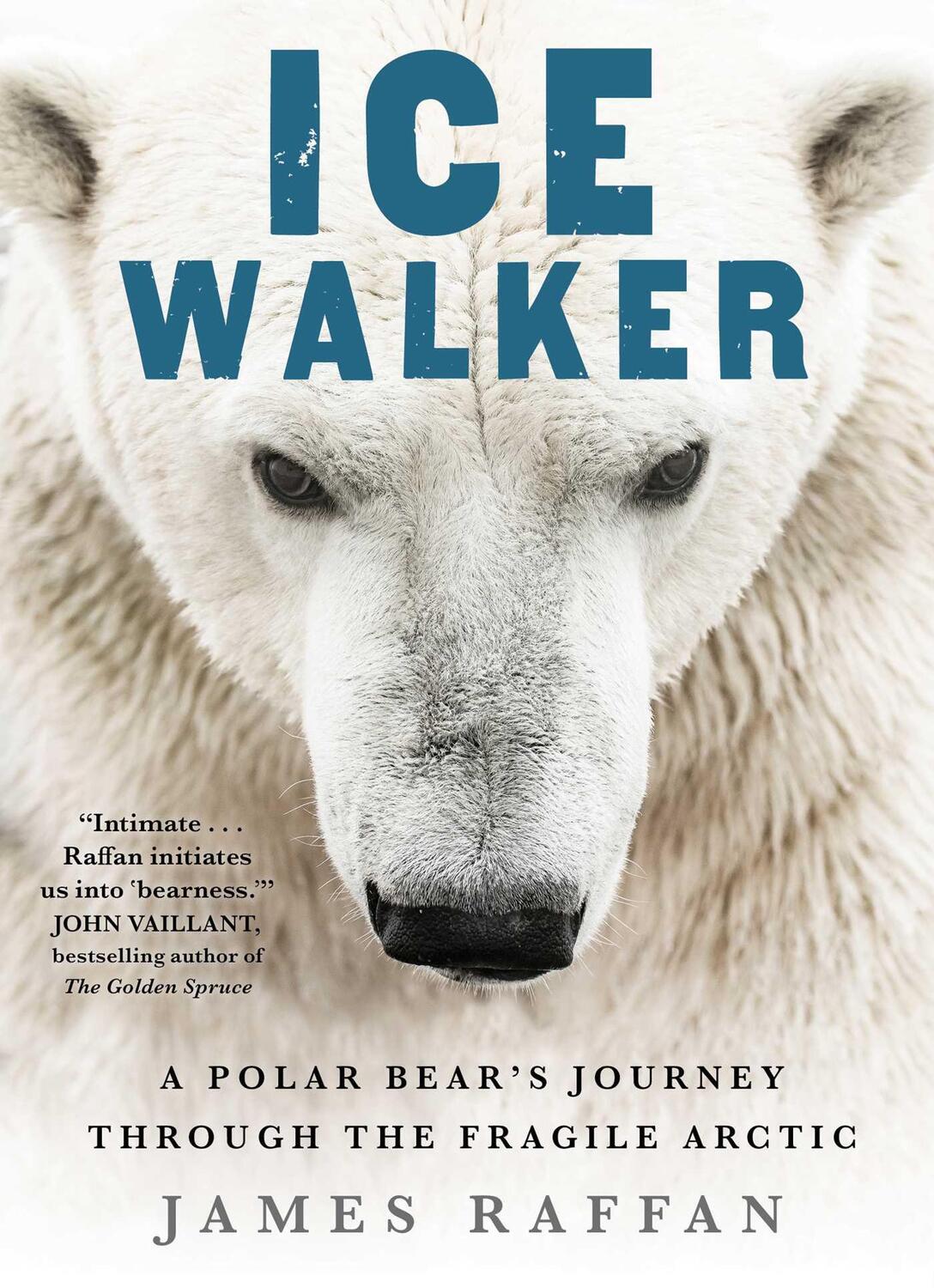 Cover: 9781501155369 | Ice Walker: A Polar Bear's Journey Through the Fragile Arctic | Raffan