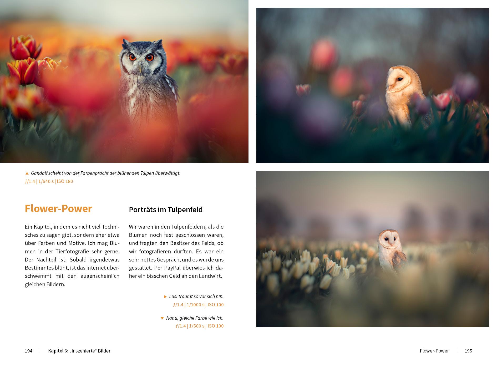 Bild: 9783832804220 | Tierische Momente fotografieren | Brandt Tanja | Buch | 328 S. | 2020