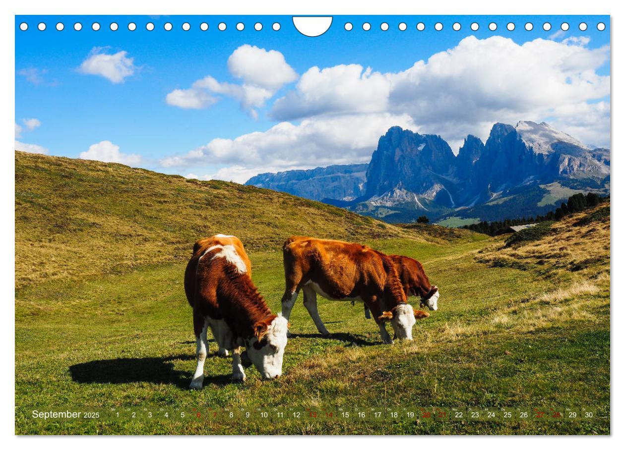 Bild: 9783435127368 | Sehnsucht Seiser Alm (Wandkalender 2025 DIN A4 quer), CALVENDO...