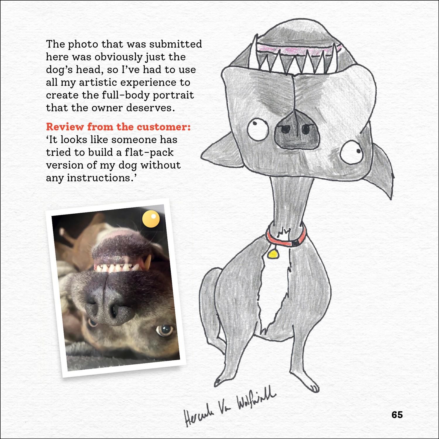 Bild: 9780008468163 | Rubbish Pet Portraits | Hercule van Wolfwinkle | Buch | Gebunden