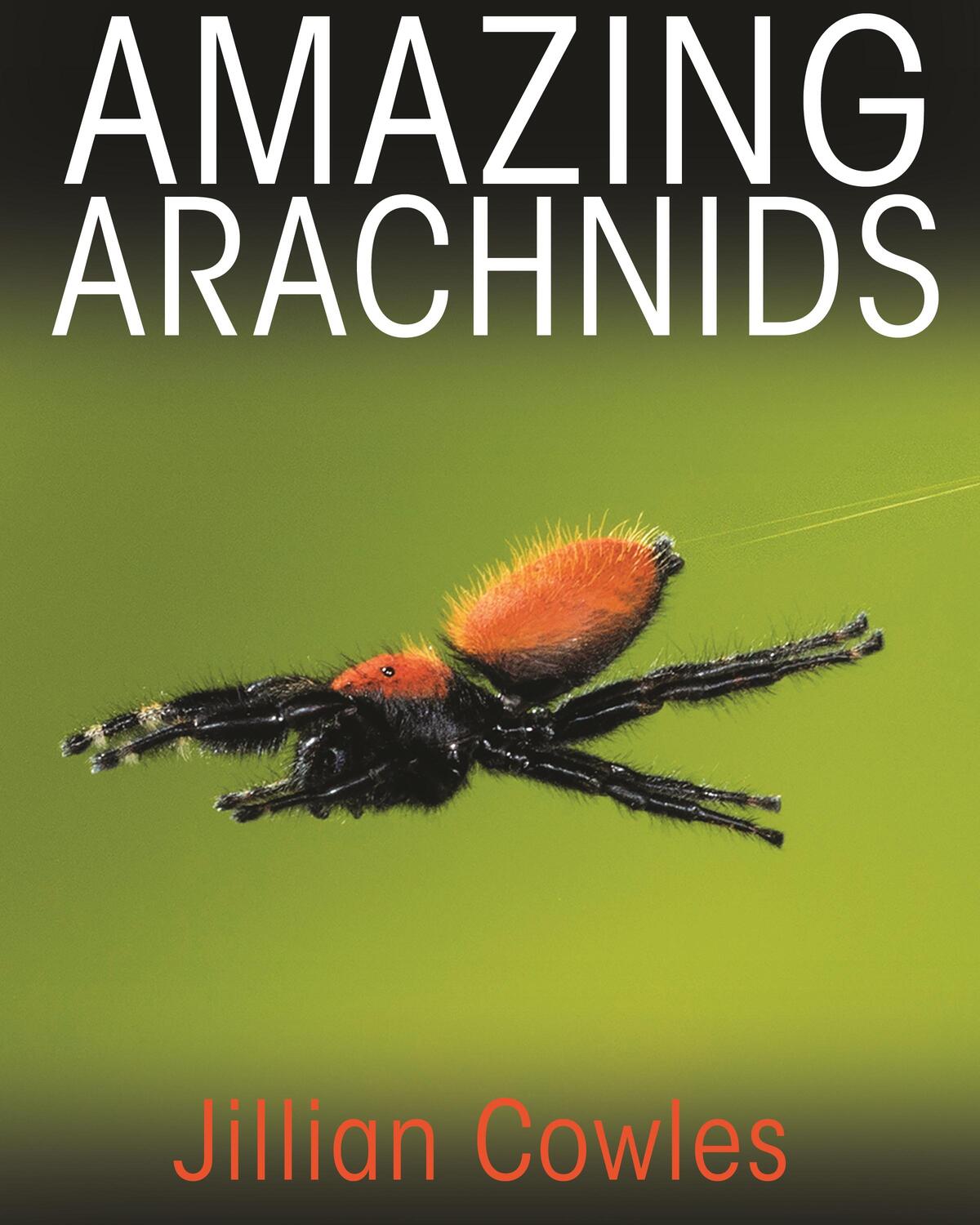 Cover: 9780691176581 | Amazing Arachnids | Jillian Cowles | Buch | Englisch | 2018