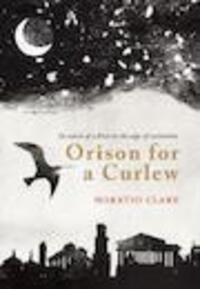 Cover: 9781908213570 | Orison for a Curlew | In Search of a Bird on the Edge of Extinction