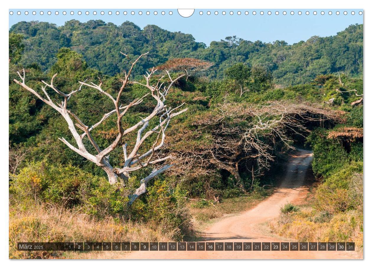 Bild: 9783435657179 | Südafrika - Die Landschaft (Wandkalender 2025 DIN A3 quer),...