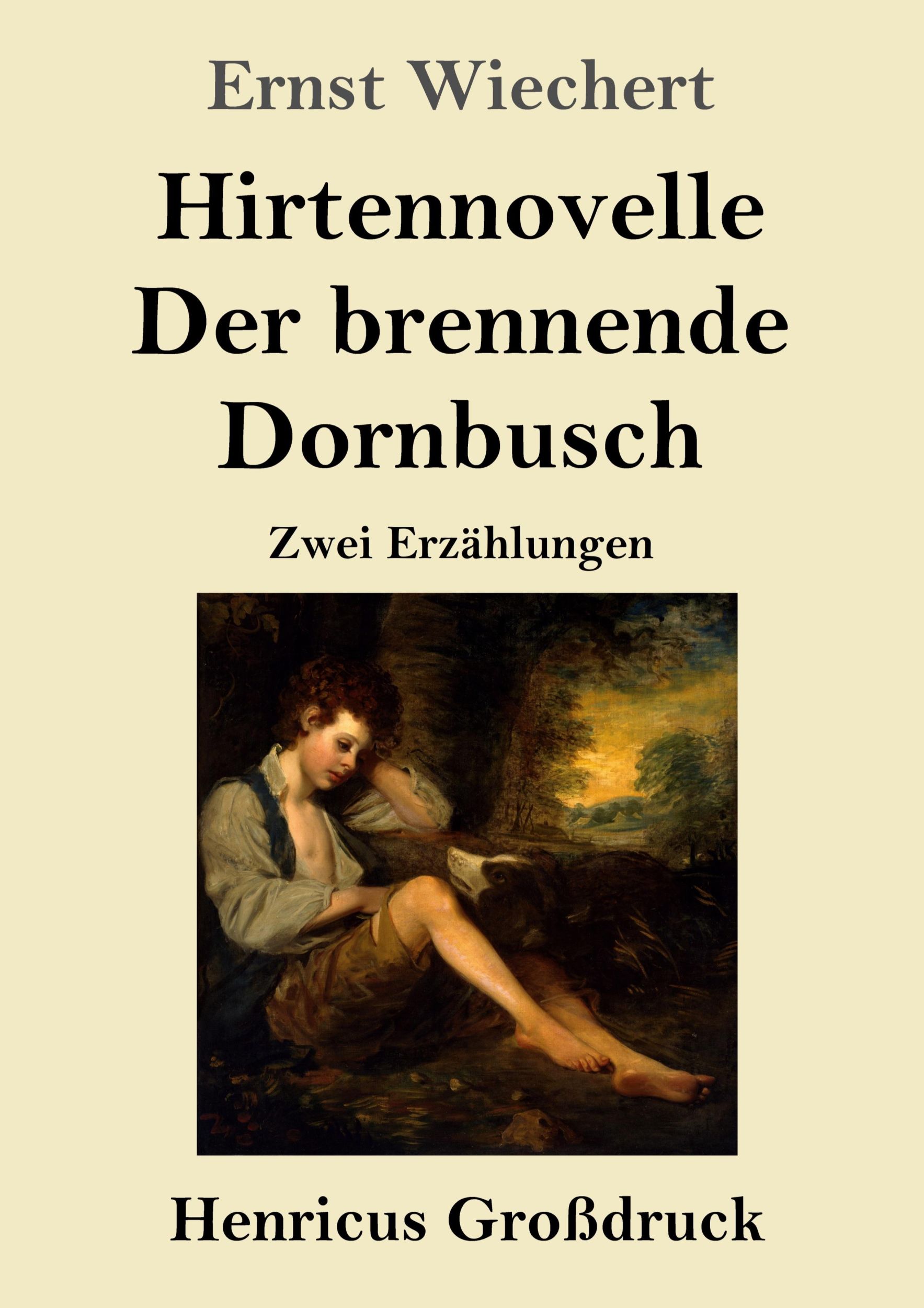 Cover: 9783847855309 | Hirtennovelle / Der brennende Dornbusch (Großdruck) | Zwei Erzählungen