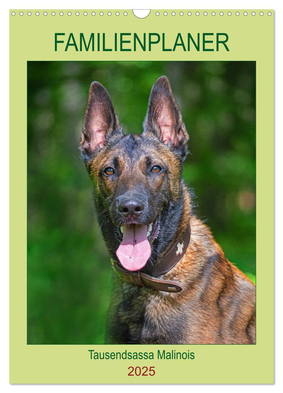 Cover: 9783435958788 | Familienplaner Tausendsassa Malinois (Wandkalender 2025 DIN A3...