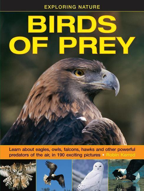 Cover: 9781861474834 | Exploring Nature: Birds of Prey | Kerrod Robin | Buch | Gebunden