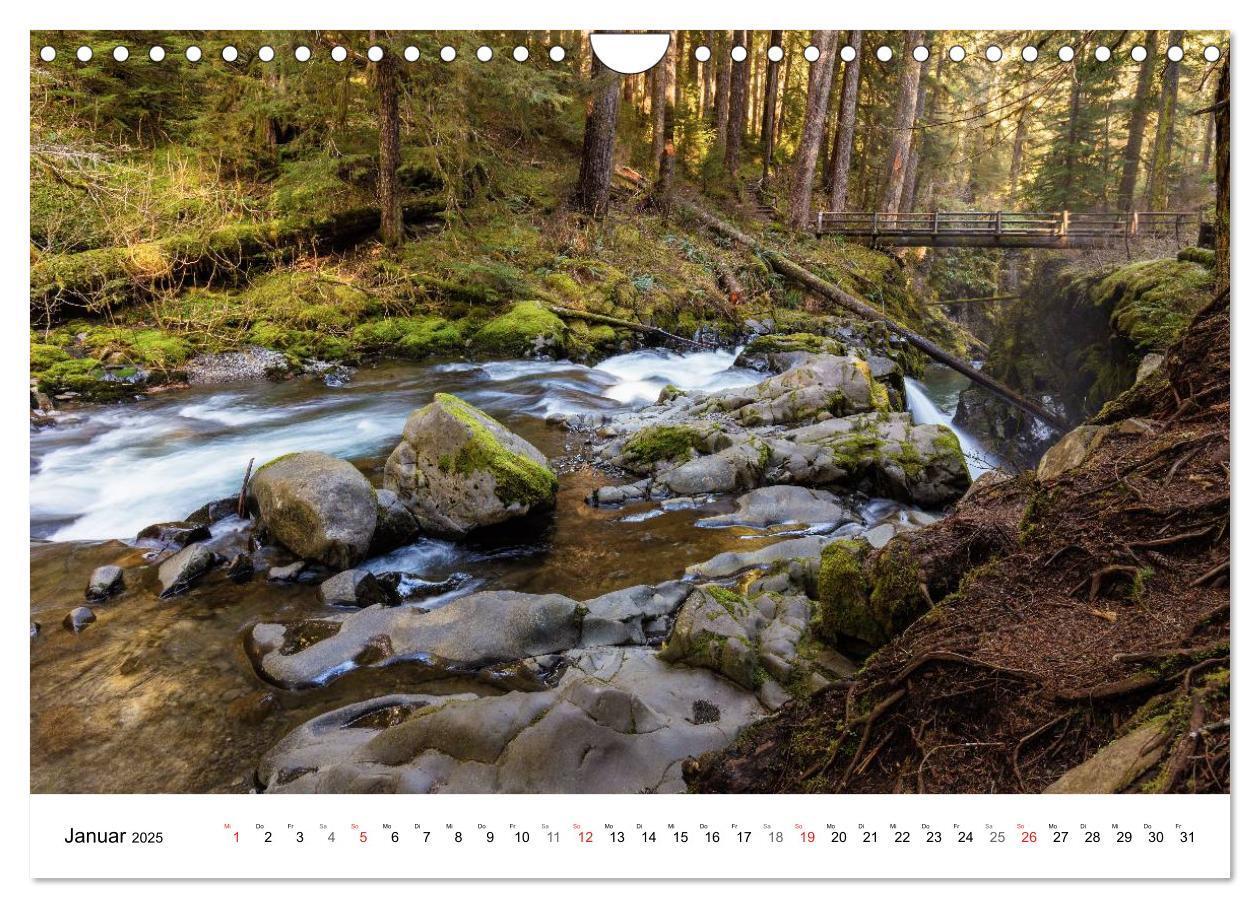 Bild: 9783435614882 | The Olympic National Park - Washington USA (Wandkalender 2025 DIN...