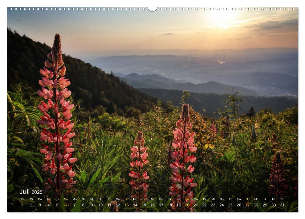 Bild: 9783457235485 | Faszination Schwarzwald (Wandkalender 2025 DIN A2 quer), CALVENDO...