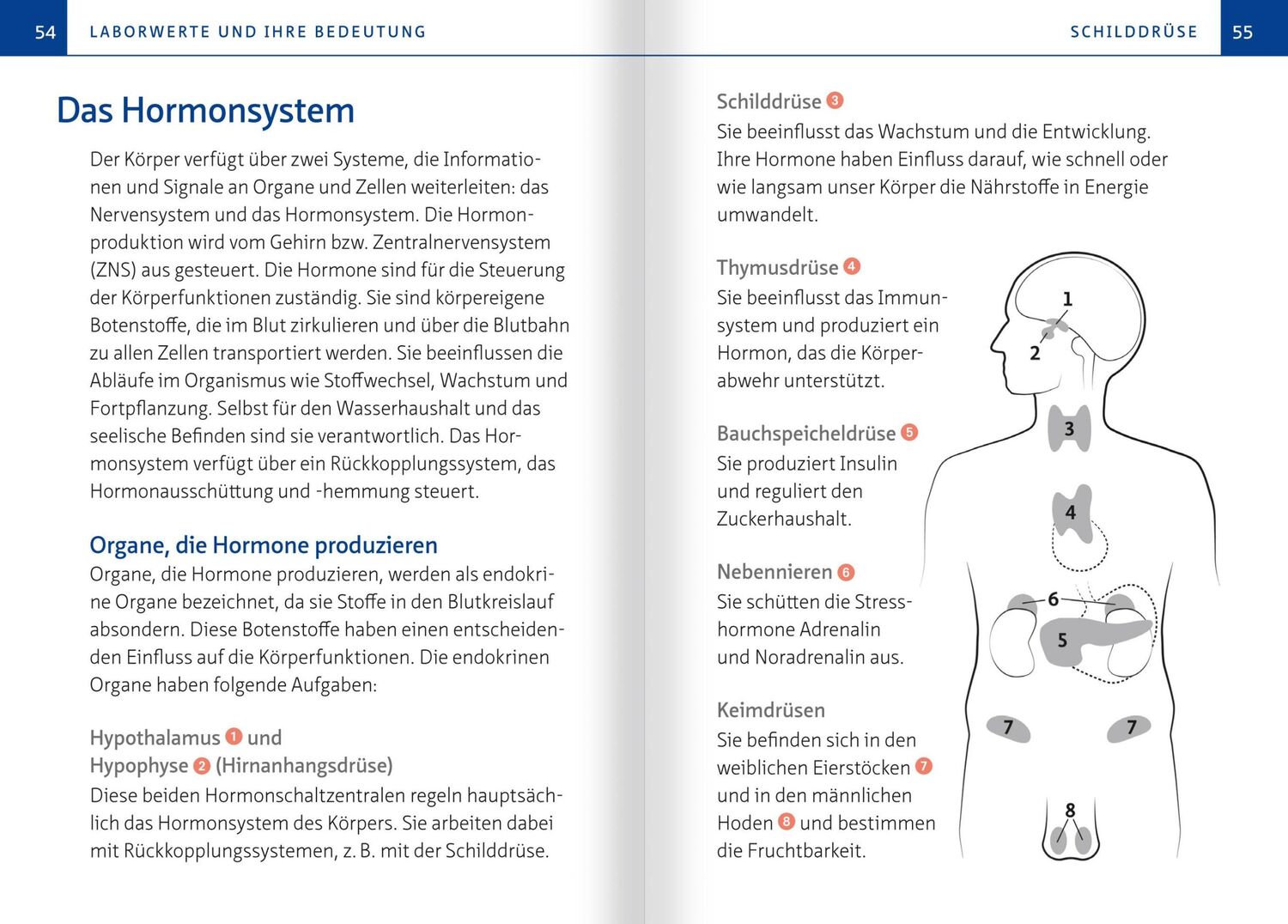 Bild: 9783863741587 | Laborwerte verstehen. Kompakt-Ratgeber | Maria Lohmann | Taschenbuch