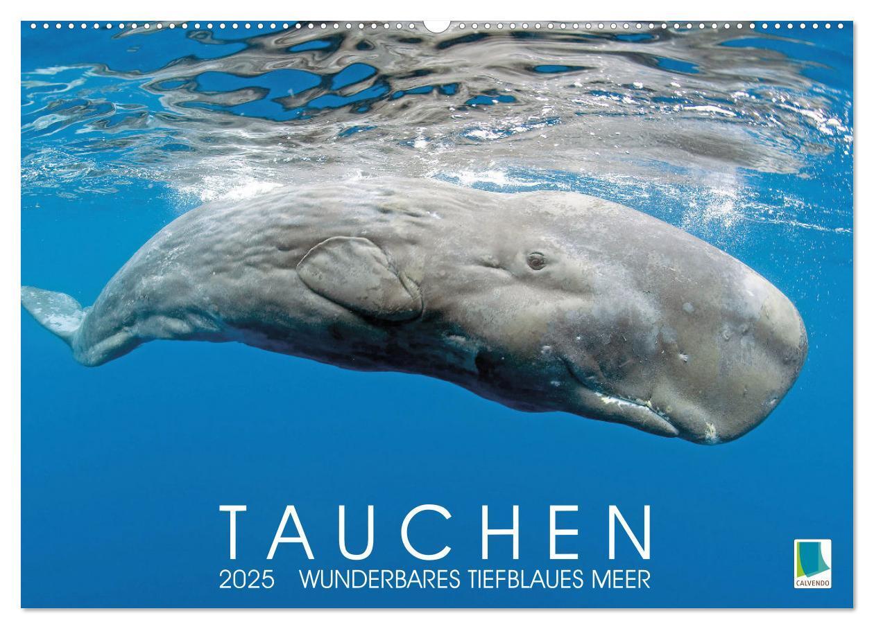 Cover: 9783383778254 | Tauchen: Wunderbares tiefblaues Meer (Wandkalender 2025 DIN A2...