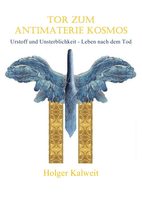 Cover: 9783746765747 | Tor zum Antimaterie Kosmos | Holger Kalweit | Taschenbuch | 404 S.