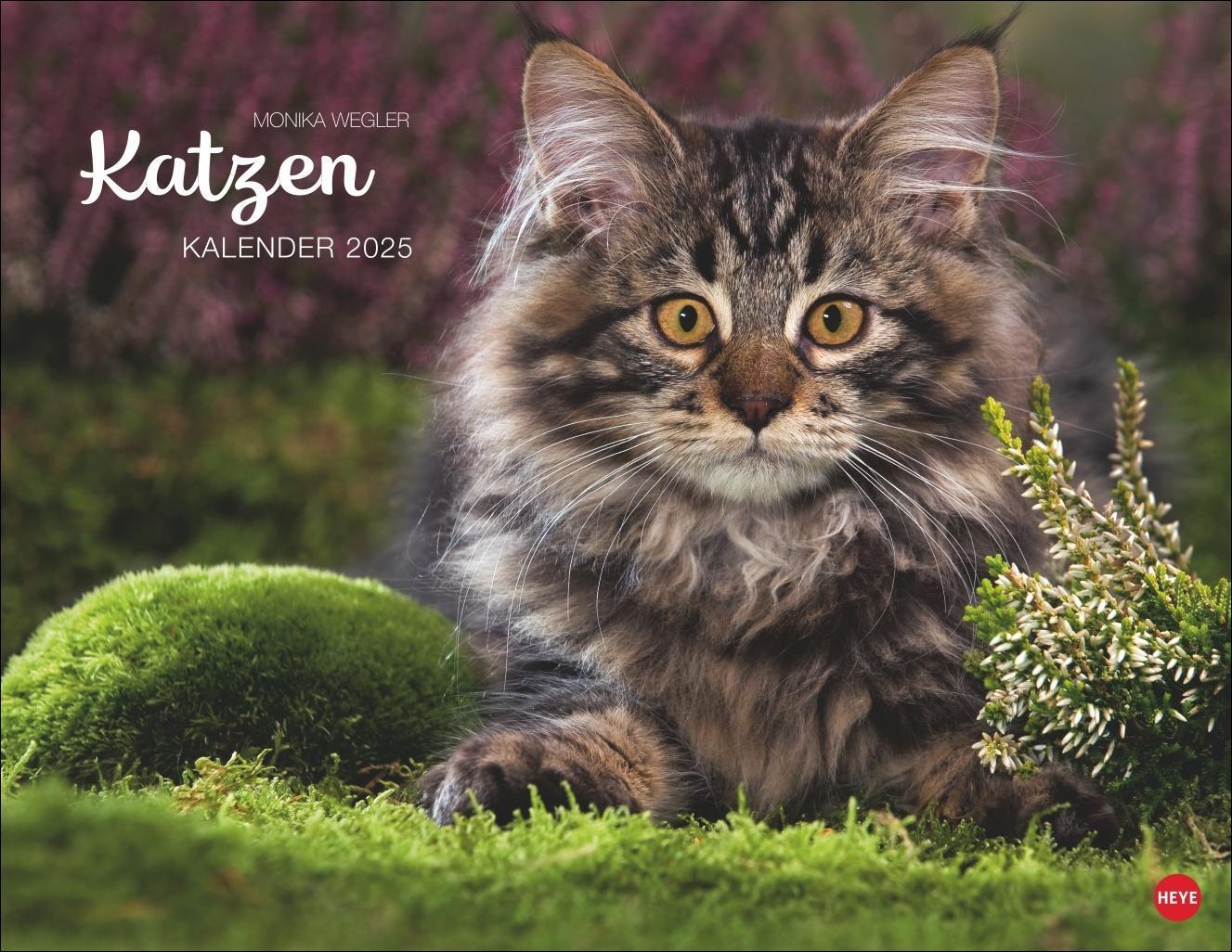 Cover: 9783756405213 | Monika Wegler: Katzenkalender 2025 | Kalender | Spiralbindung | 14 S.