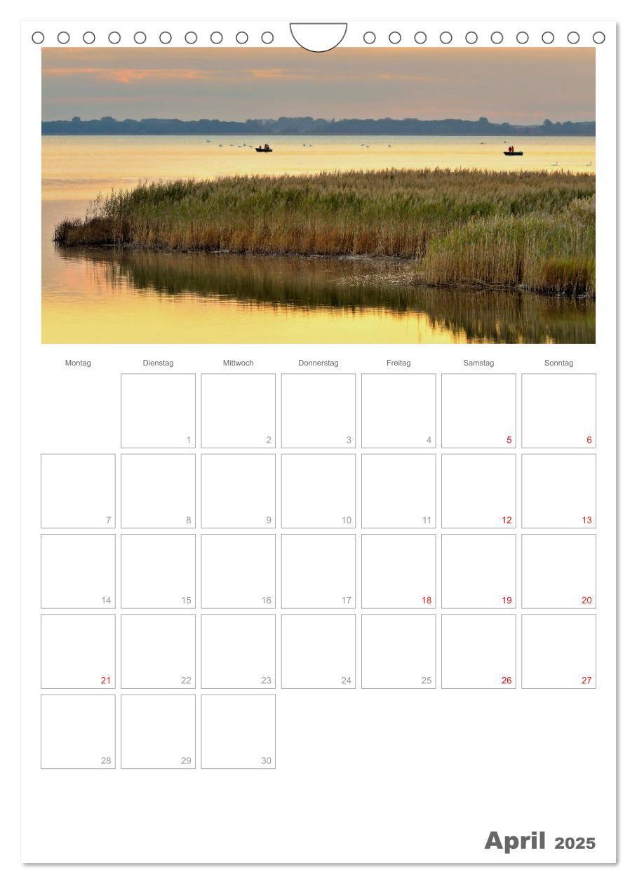 Bild: 9783457088340 | Insel Rügen / Planer (Wandkalender 2025 DIN A4 hoch), CALVENDO...