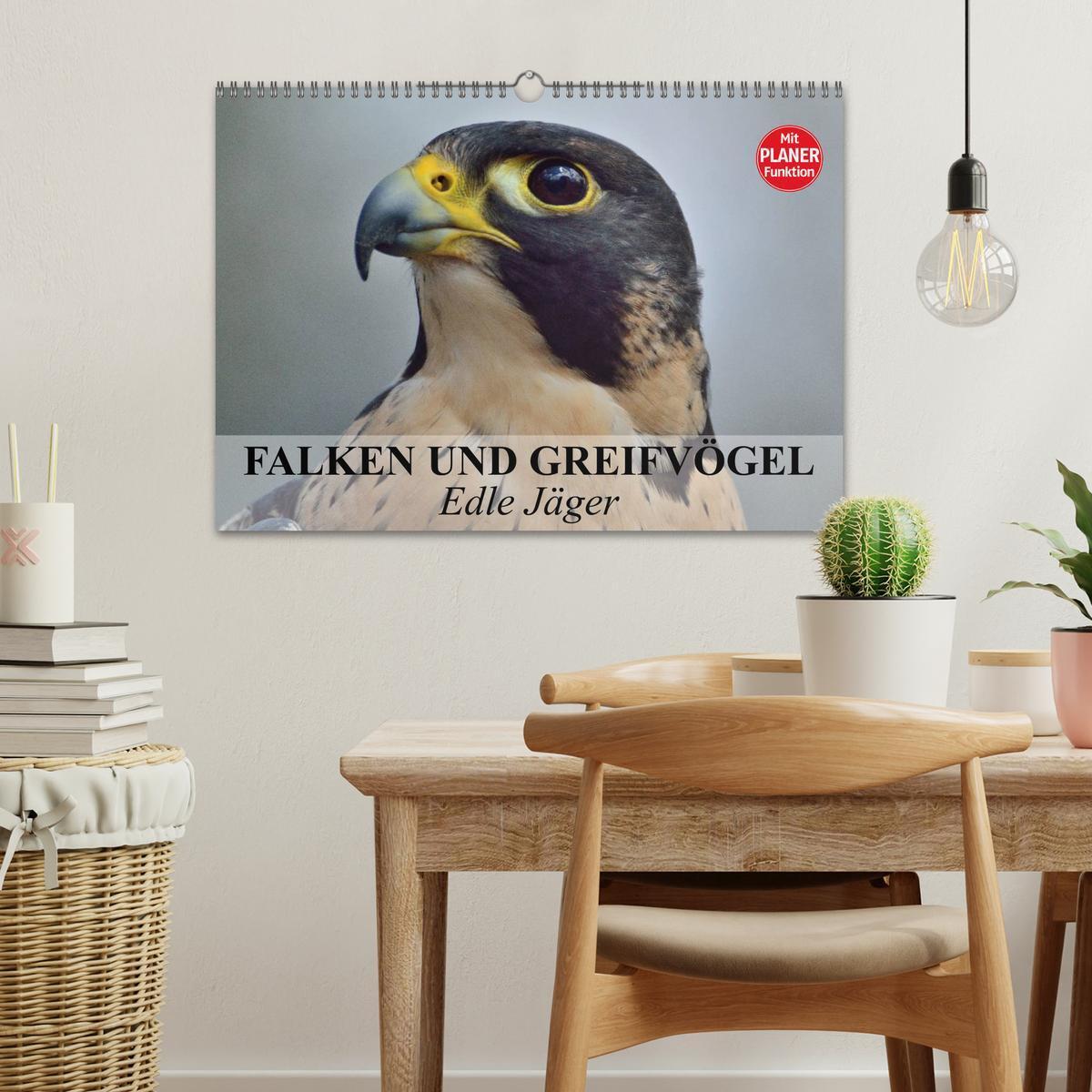 Bild: 9783435549085 | Falken und Greifvögel - Edle Jäger (Wandkalender 2025 DIN A3 quer),...