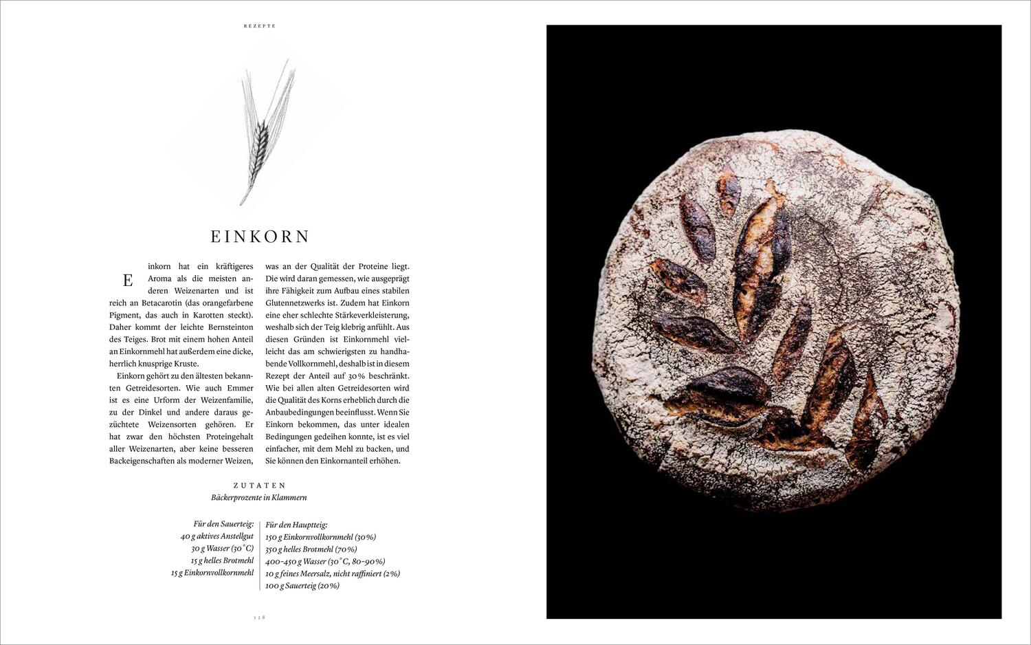 Bild: 9783791388069 | Sauerteig. Gutes Brot backen | Casper André Lugg (u. a.) | Buch | 2021