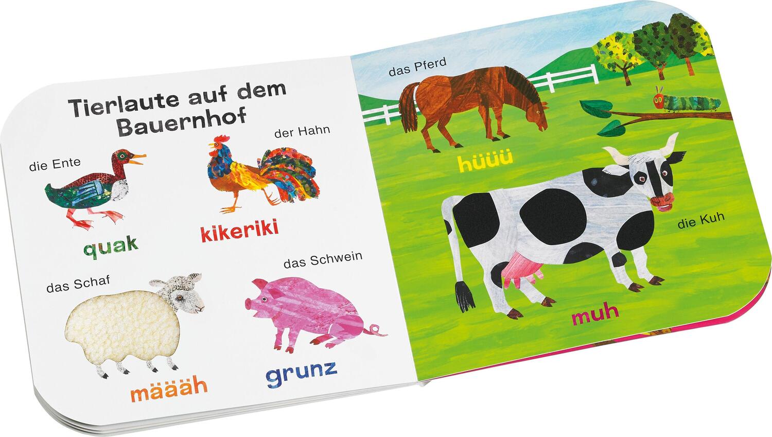 Bild: 9783836962261 | Die kleine Raupe Nimmersatt - Mein Tier-Fühlbuch | Eric Carle | Buch