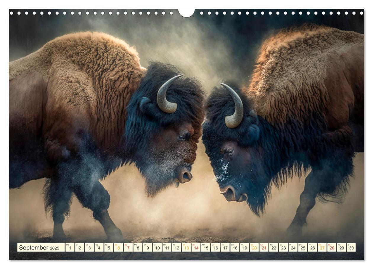 Bild: 9783383911859 | Amerikanischer Bison (Wandkalender 2025 DIN A3 quer), CALVENDO...