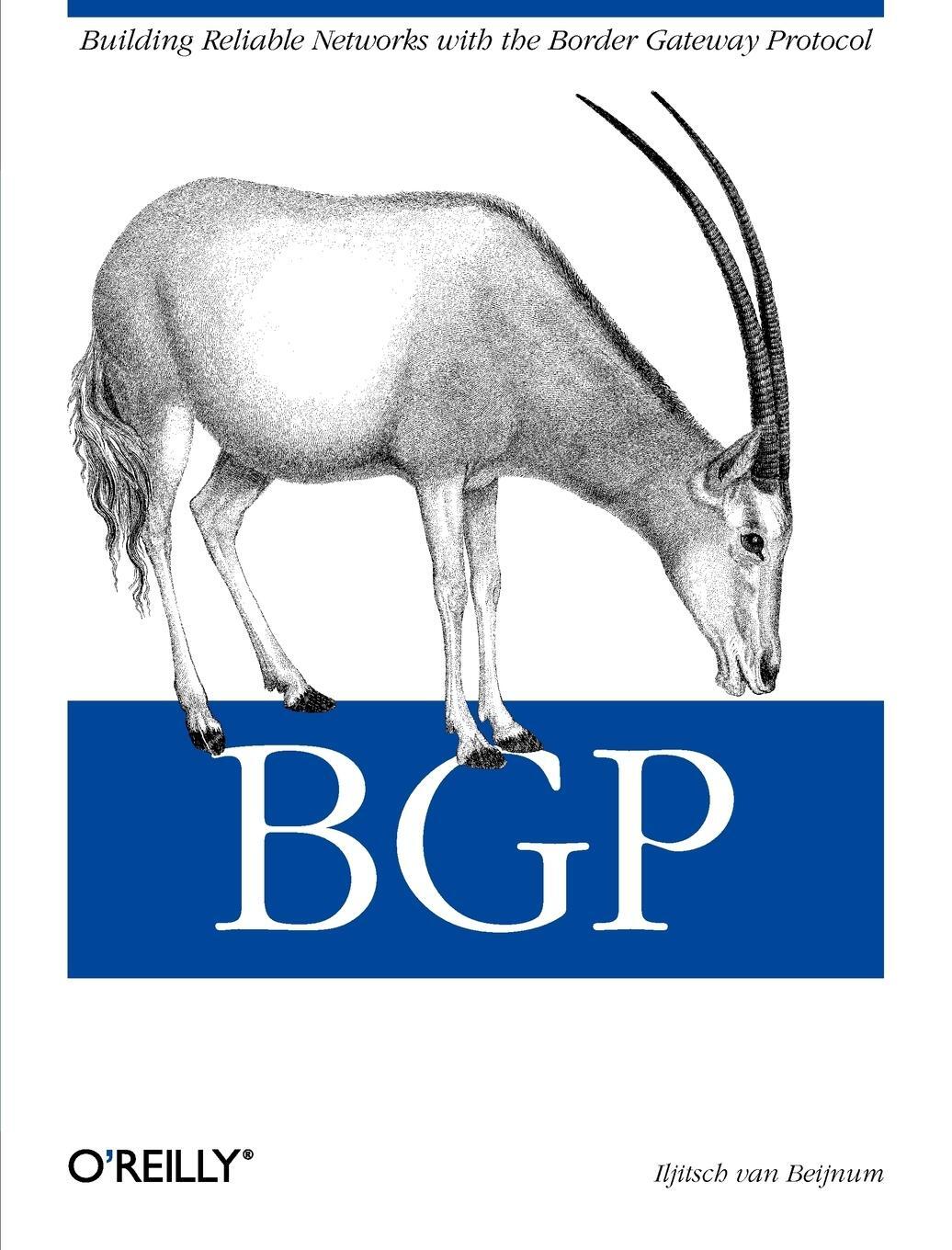 Cover: 9780596002541 | BGP | Iljitsch van Beijnum | Taschenbuch | Paperback | Englisch | 2002
