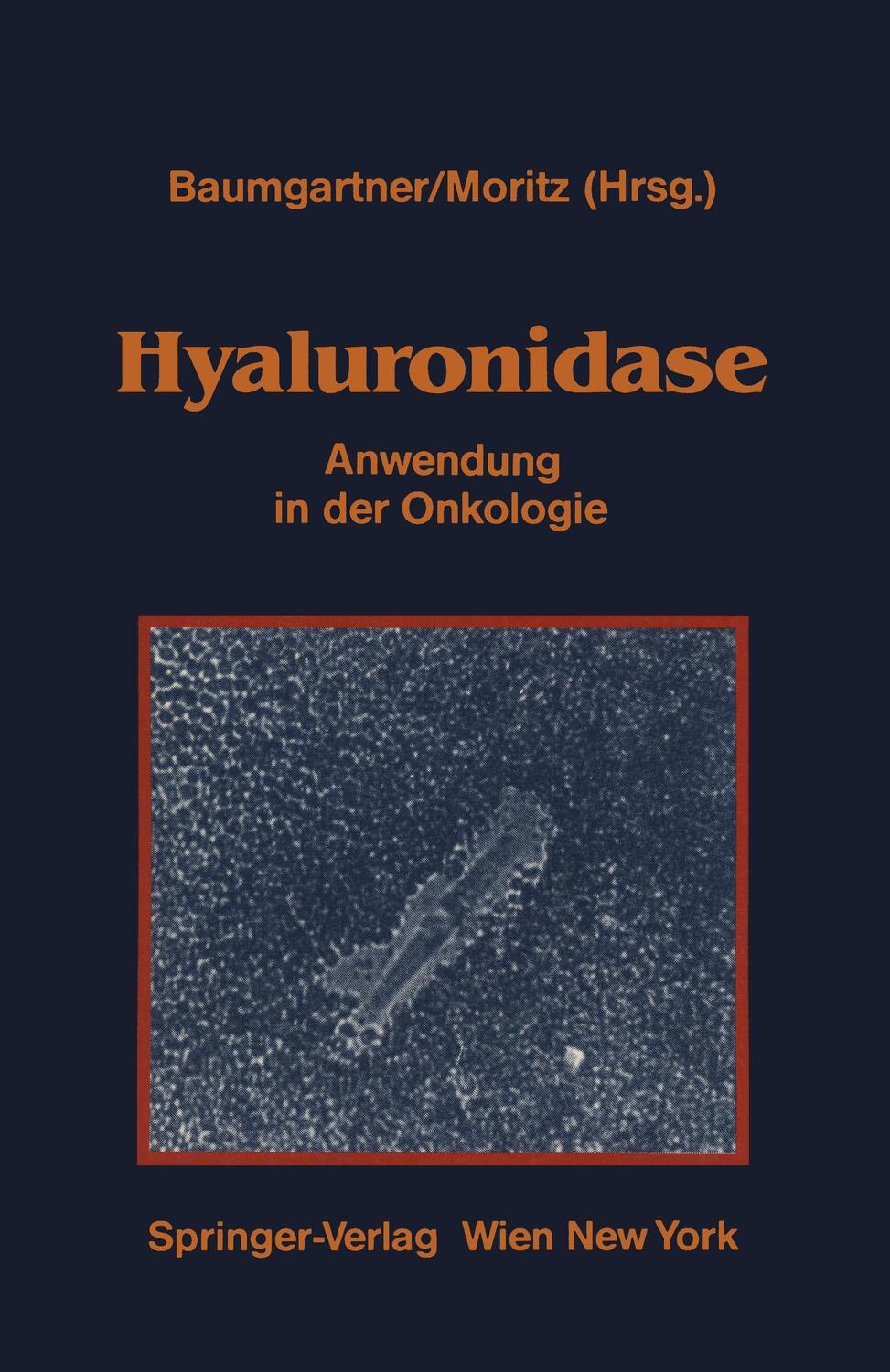 Cover: 9783211820988 | Hyaluronidase | Gerhard Baumgartner (u. a.) | Taschenbuch | Paperback