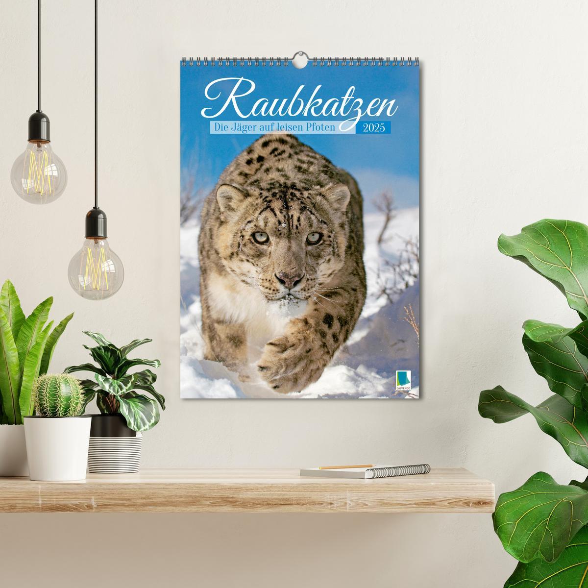 Bild: 9783435070183 | Raubkatzen: Die Jäger auf leisen Pfoten (Wandkalender 2025 DIN A3...