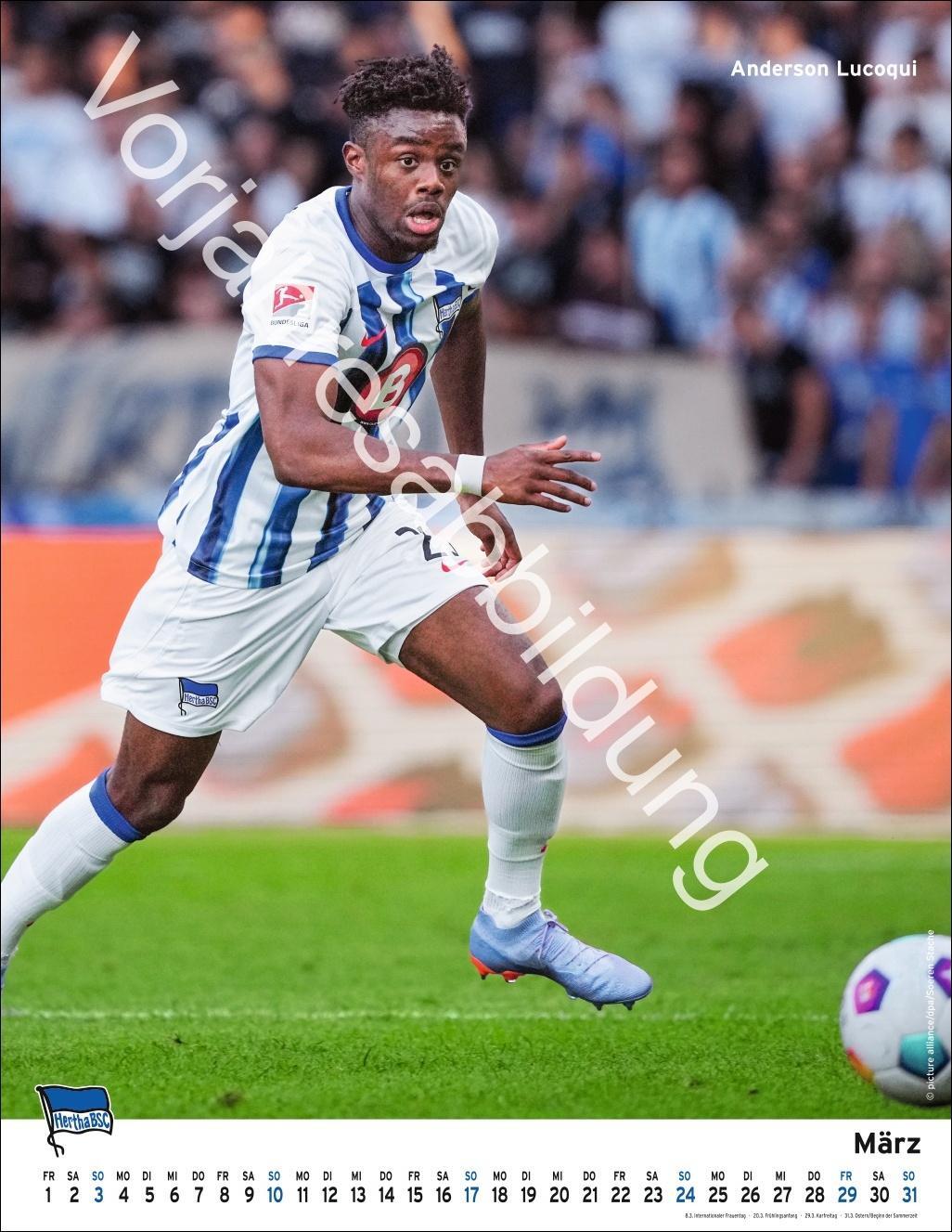 Bild: 9783756405411 | Hertha BSC Posterkalender 2025 | Heye | Kalender | Spiralbindung