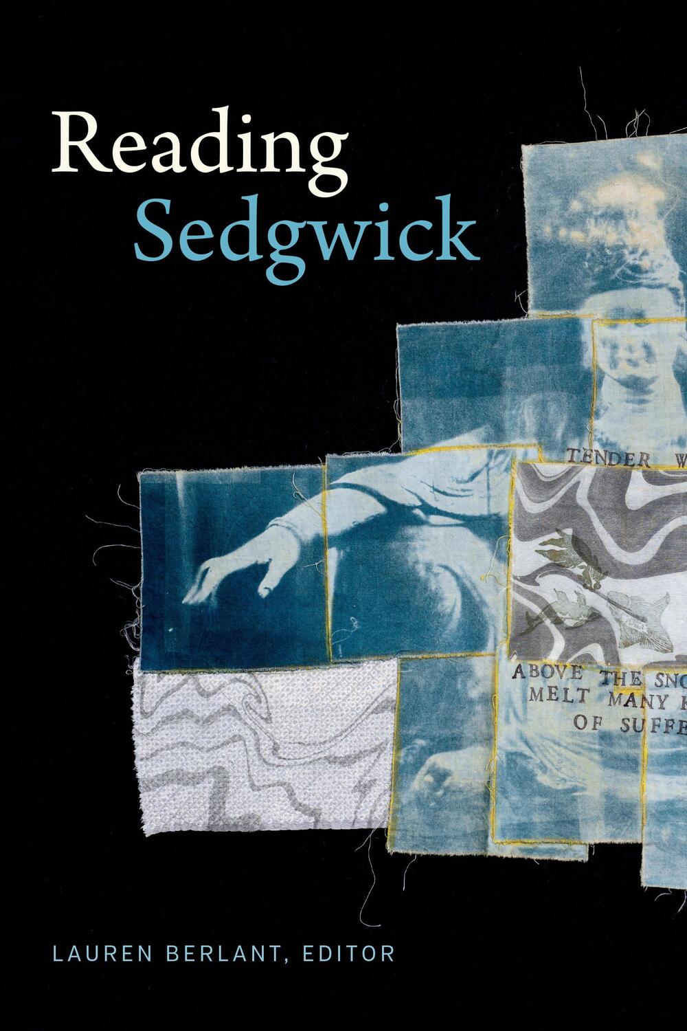 Cover: 9781478006312 | Reading Sedgwick | Taschenbuch | Theory Q | Kartoniert / Broschiert