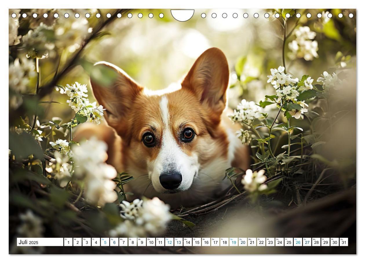 Bild: 9783383776069 | Happy Corgis (Wandkalender 2025 DIN A4 quer), CALVENDO Monatskalender