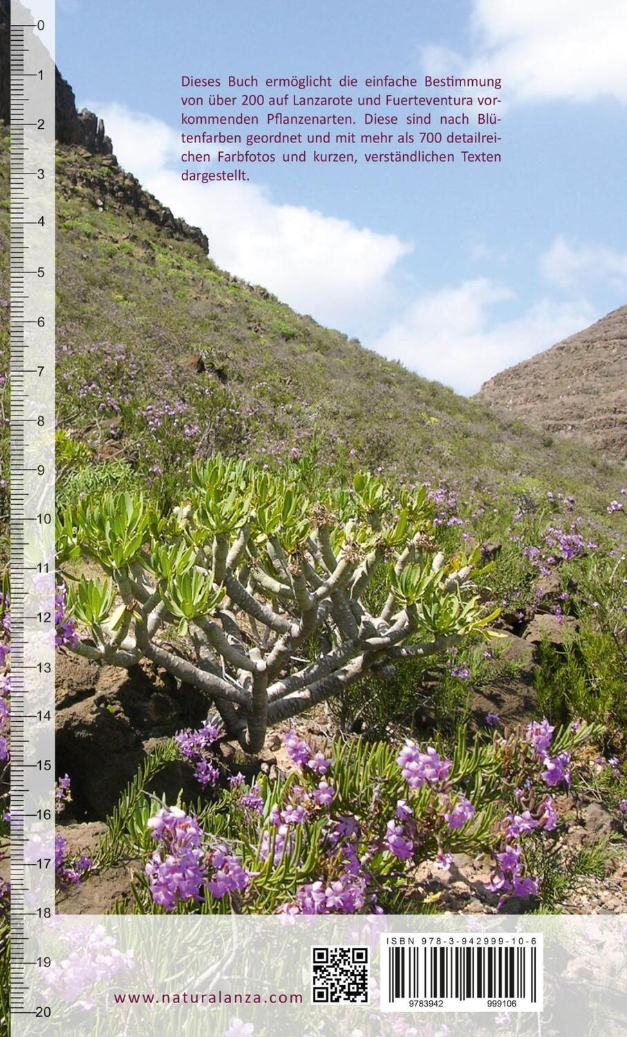 Bild: 9783942999106 | Pflanzen entdecken | Lanzarote und Fuerteventura | Strecker (u. a.)