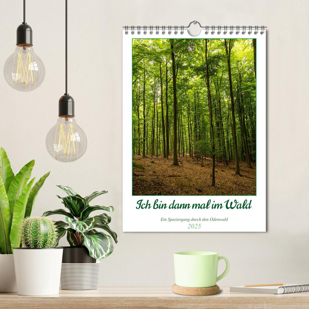 Bild: 9783435862481 | Ich bin dann mal im Wald (Wandkalender 2025 DIN A4 hoch), CALVENDO...