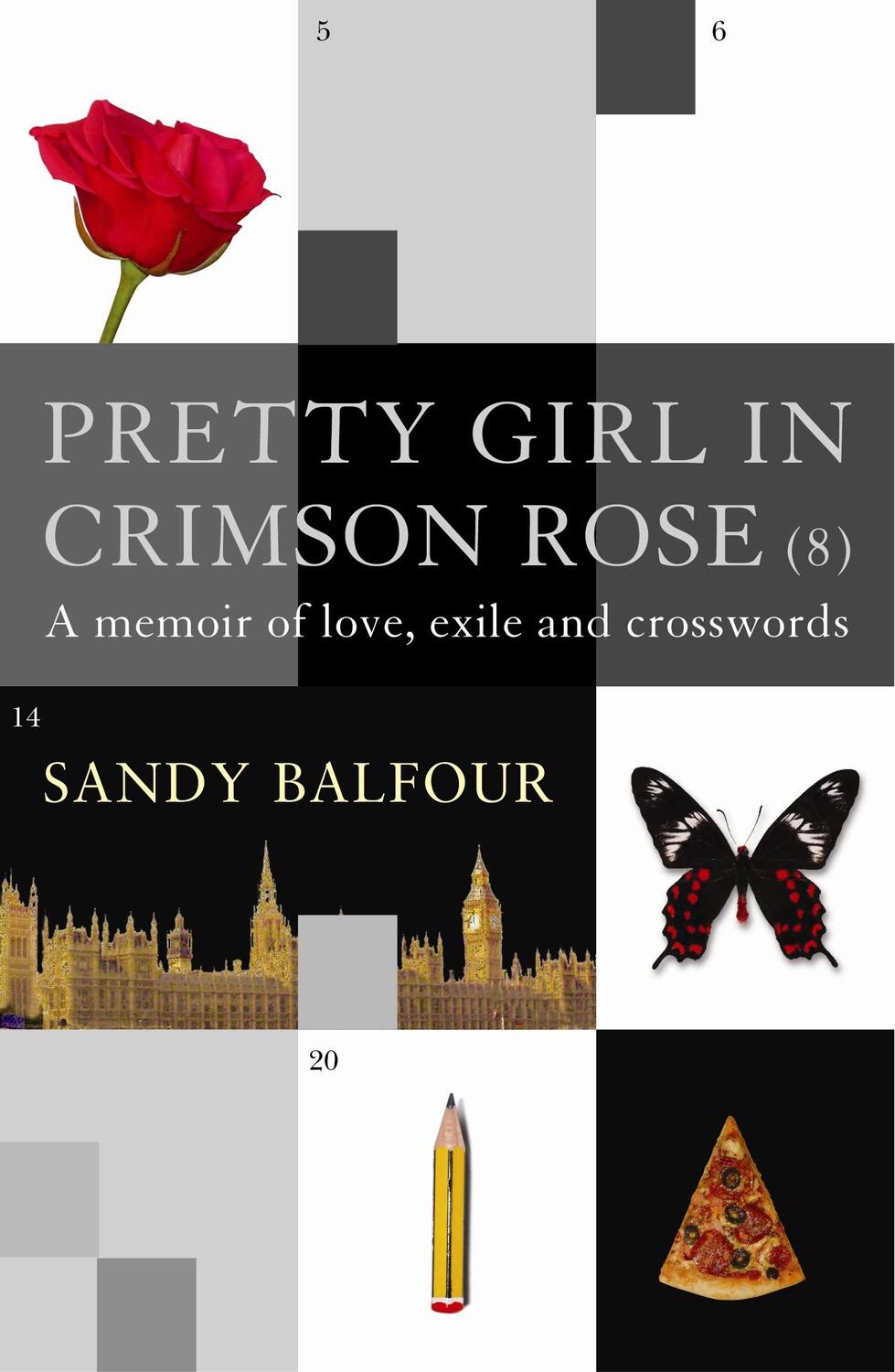 Cover: 9781843540892 | Pretty Girl In Crimson Rose | A Memoir of Love, Exile and Crosswords