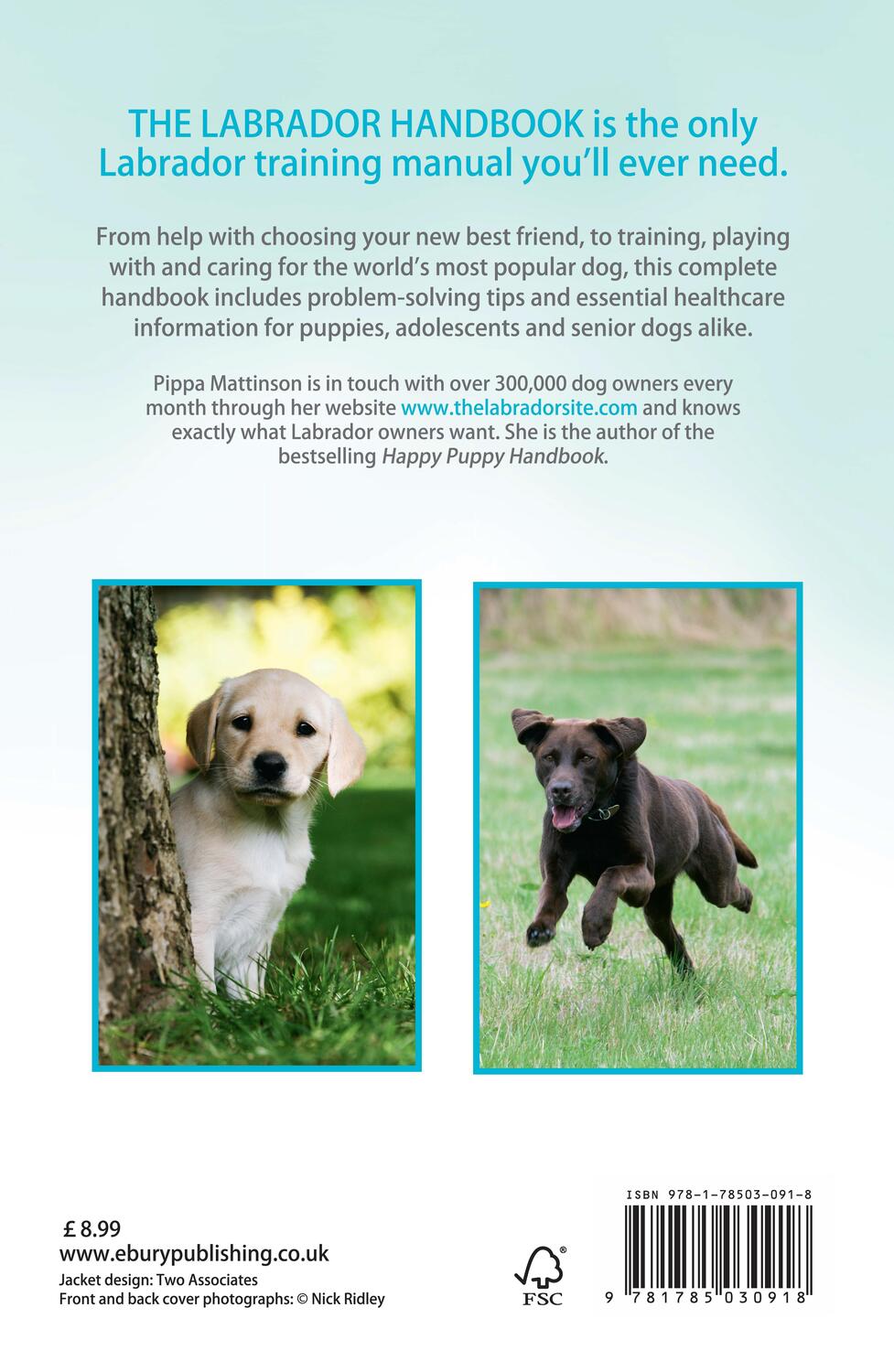 Rückseite: 9781785030918 | The Labrador Handbook | Pippa Mattinson | Taschenbuch | Englisch