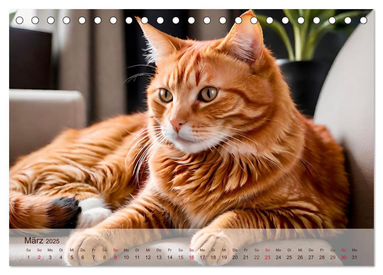 Bild: 9783383817885 | Rote Katzen (Tischkalender 2025 DIN A5 quer), CALVENDO Monatskalender