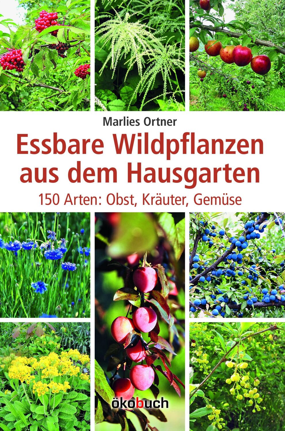 Cover: 9783936896596 | Essbare Wildpflanzen aus dem Hausgarten | Marlies Ortner | Buch | 2011