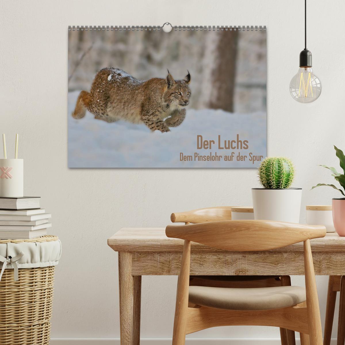 Bild: 9783435689576 | Der Luchs - Dem Pinselohr auf der Spur (Wandkalender 2025 DIN A3...