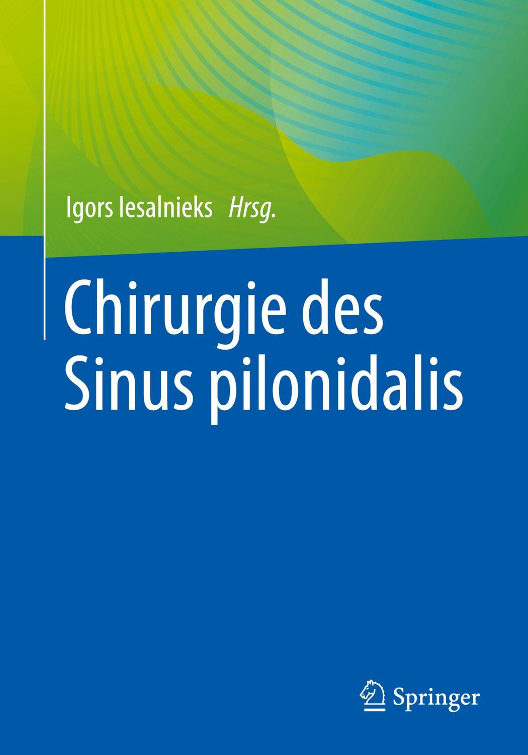 Cover: 9783662691267 | Chirurgie des Sinus pilonidalis | Igors Iesalnieks | Taschenbuch | x