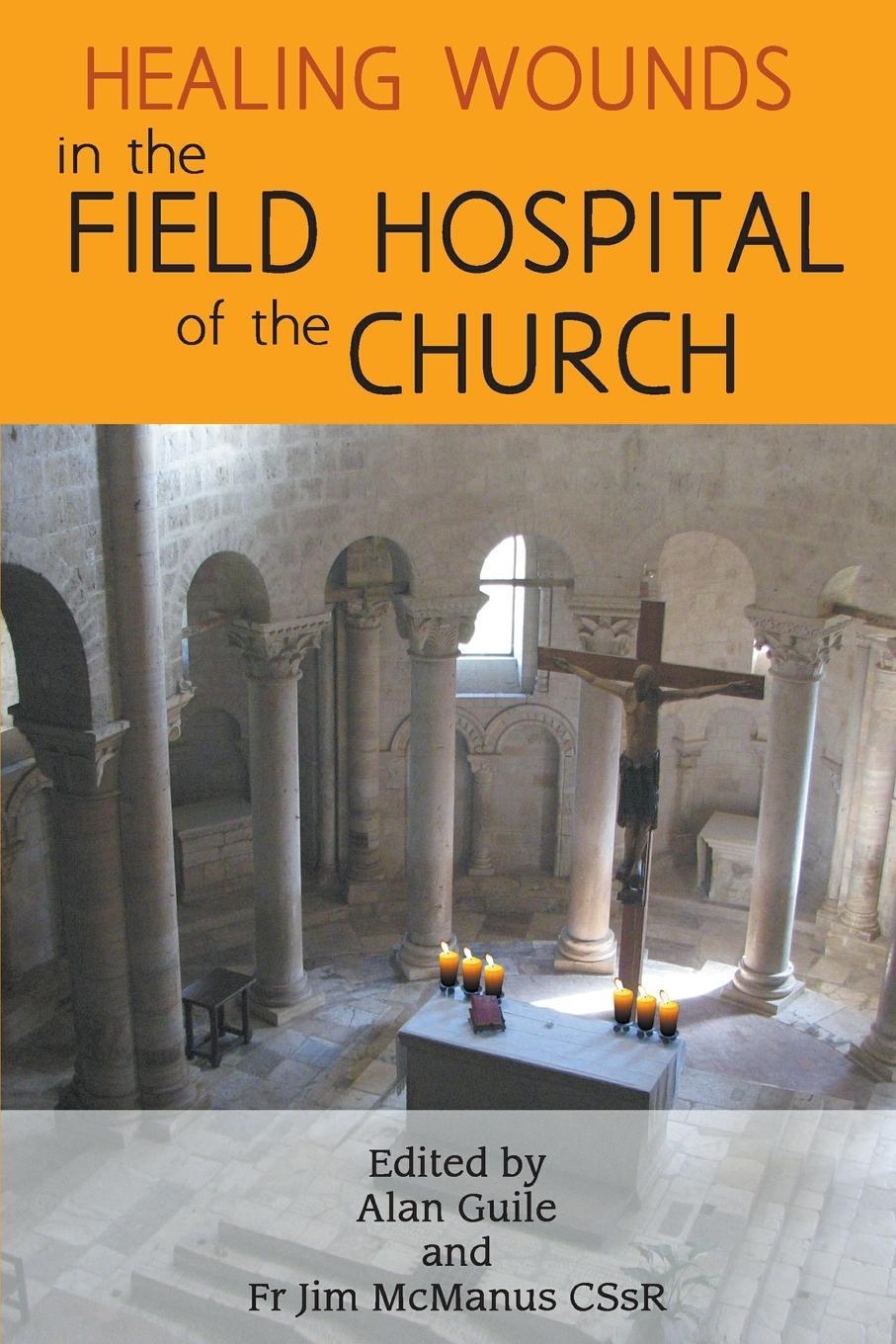 Cover: 9780852449189 | Healing Wounds in the Field Hospital of the Church | Jim McManus CSsR