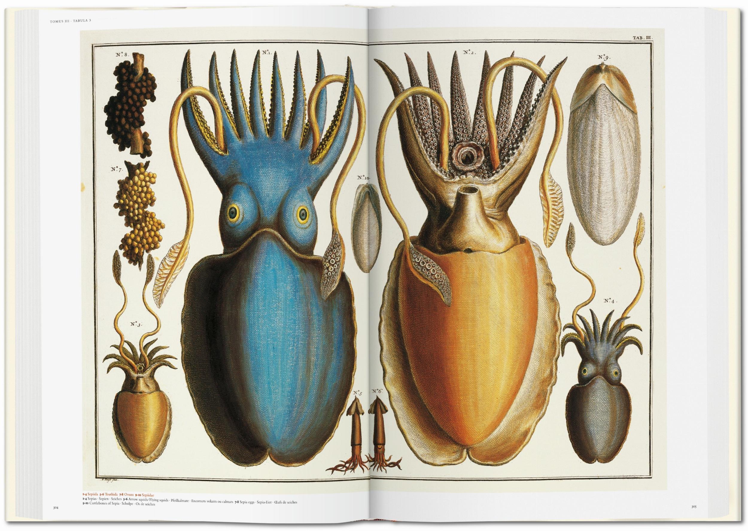 Bild: 9783836569064 | Seba. Cabinet of Natural Curiosities | Irmgard Müsch (u. a.) | Buch