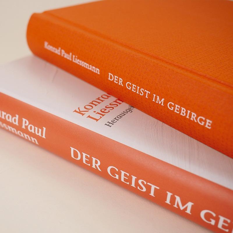 Bild: 9783552073104 | Der Geist im Gebirge | Konrad Paul Liessmann | Buch | Deutsch | 2022