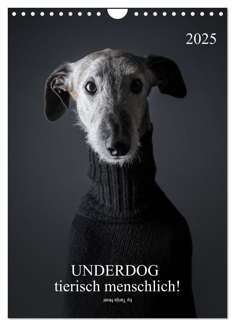 Cover: 9783435933419 | UNDERDOG - Windhundportraits (Wandkalender 2025 DIN A4 hoch),...