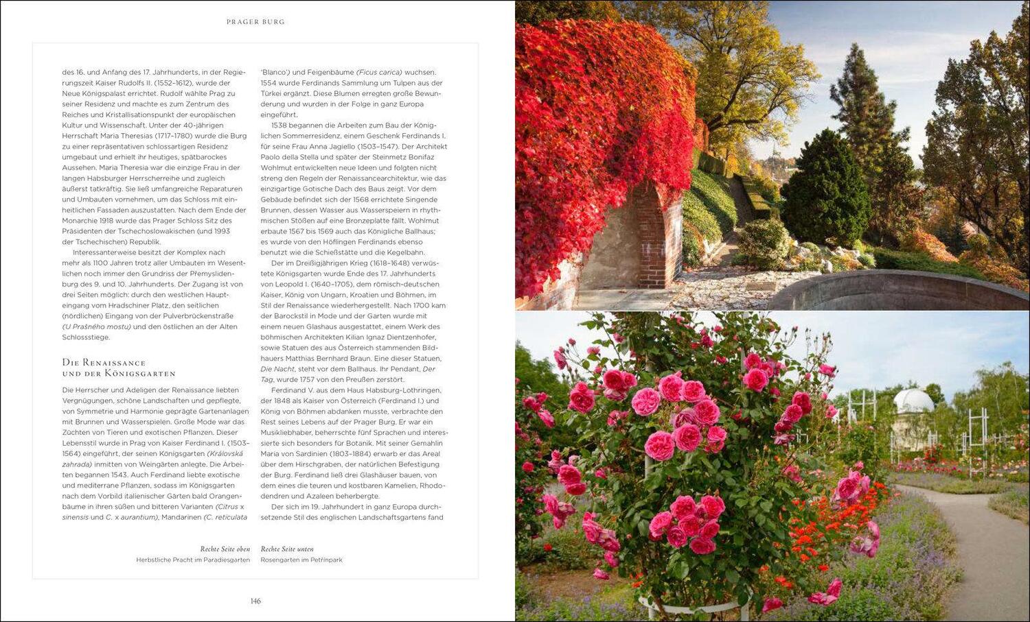 Bild: 9783791387017 | Royale Gärten | weltweit - Von Highgrove bis Herrenhausen | Mark Lane