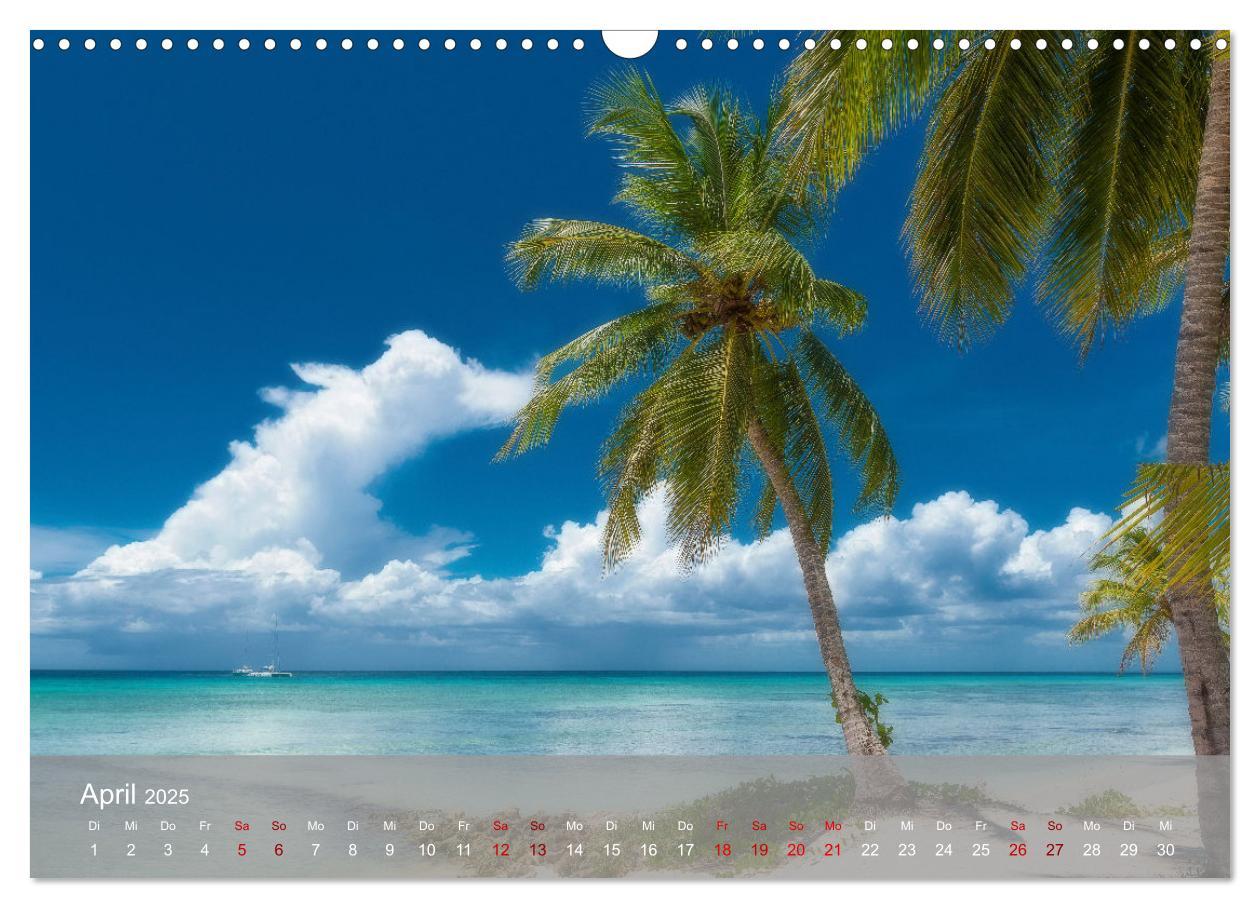 Bild: 9783435022465 | Karibik Traum Isla Saona (Wandkalender 2025 DIN A3 quer), CALVENDO...